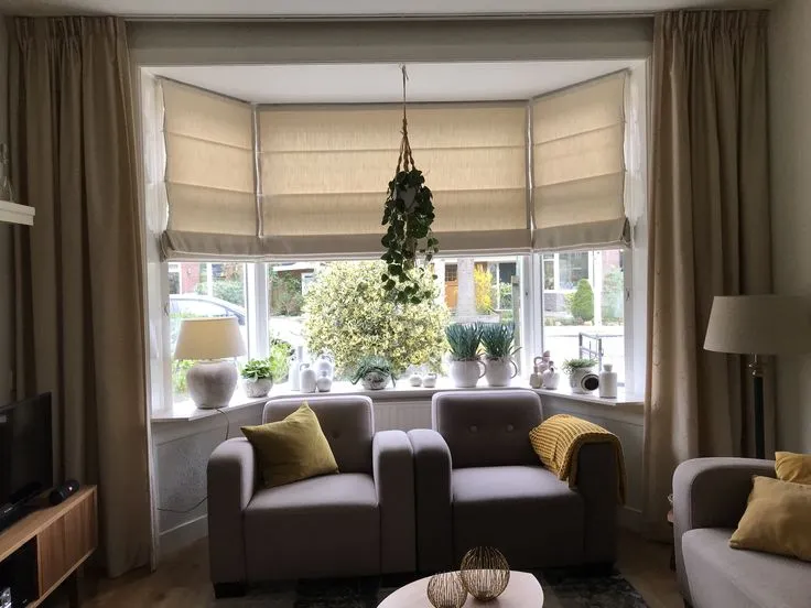 Trendy Roman blinds
