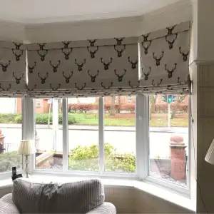 Elegant Roman shades JLT living room