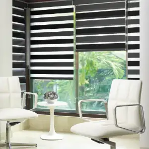 Emirates Hills office zebra curtains