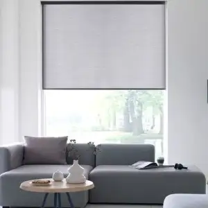 Stylish roller blinds for lounge
